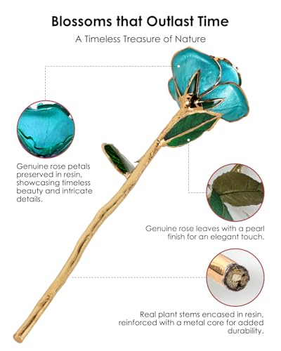 Image of 24K Gold Dipped Real Rose, Preserved Gift for Her, Turquoise Blue