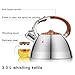 Kaisa Villa Tea Kettle Stovetop Teapot Stainless Steel Whistling Teakettle with 3.5 L… (Silver)