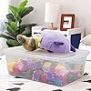 16 Quart Clear Storage Boxes, Plastic Storage Containers, 2 Packs