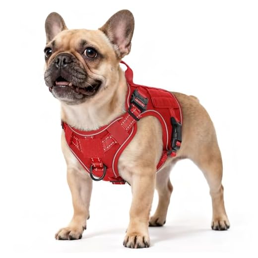 rabbitgoo Tactical Dog Harness Small Sized, No Pull Upgraded Reflective Heavy Duty Molle Vest with Handle, Adjustable Military Service Dog Vest for Walking Hiking Training, Red, S