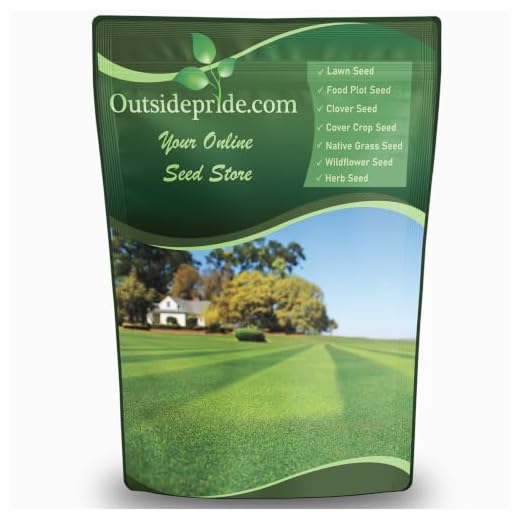 Outsidepride Blackjack Warm Season Drought Tolerant, Fast Growing, Bermuda Lawn, Turf Grass Seed - 5 LBS