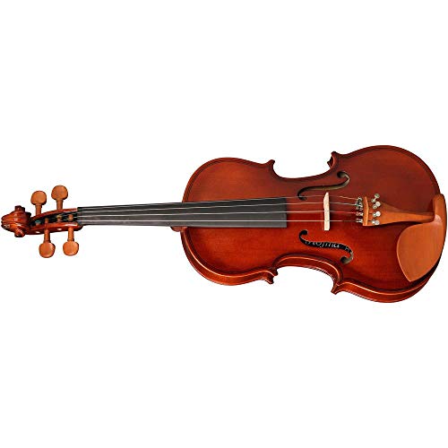 Violino Hofma Hve241 4/4 Com Case, Breu E Arco