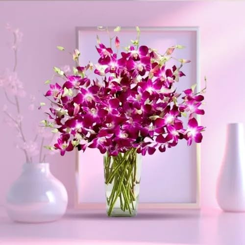 FLORANET Beautiful Bouquet – Amazing 20 Orchids arranged in a Glass Vase, ideal for Anniversary, Birthday, Wedding, Congratulations, Mother's Day (Same Day Delivery Available).-image-39