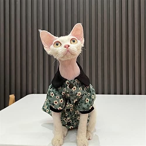 Robe pour chat sans poils Sphinx protégeant la peau sensible des grands félins