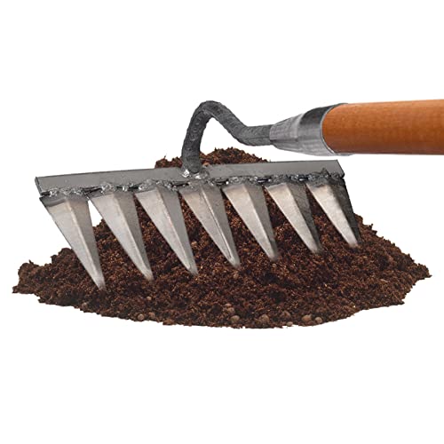 Escarificador Cesped Manual, Rastrillo Hojas Jardin, Metal Resistente, 4/5/6/7 Puntas, Jardín, Mano, para Deshierbe/aflojamiento/siembra (sin Palo)