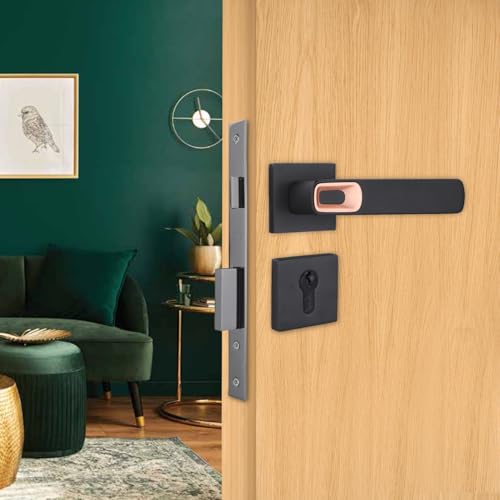 Image of Godrej Mortise Lock|Handle Lock Set for Main & Bedroom Door|HDH 07 Brass Home Decor Handle| Matte Black Finish|10 inch Lockbody|60 mm Cylinder Key Outside& knob from Inside 4 Keys |5 Years Warranty