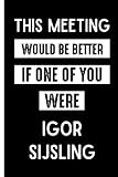  This Meeting Would Be Better If One Of You Were Igor Sijsling: Funny Lined Journal for Igor Sijsling Lovers , 6x9 Inches