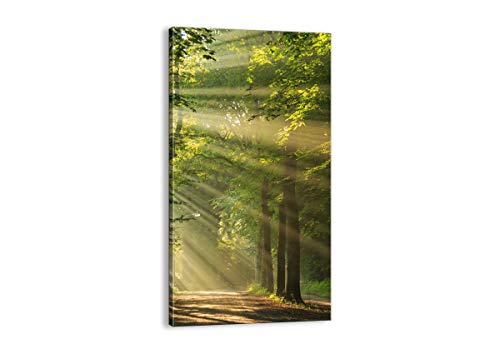 Cuadro sobre Lienzo - de una Sola Pieza - Impresión en Lienzo - Ancho: 65cm, Altura: 120cm - Foto número 3661 - Listo para Colgar - en un Marco - PA65x120-3661