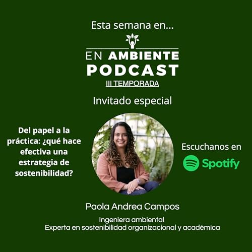 Del papel a la pr&aacute;ctica: &iquest;qu&eacute; hace efectiva una estrategia de sostenibilidad?