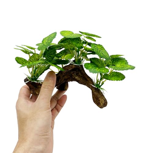 Image of Fish Tank Decorations Aquarium Decor Ornaments Betta Silk Leaf pad Hammock Artificial Driftwood Cave Goldfish Bowl Accessories