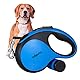 Edipets, Hundeleine, Ausziehbar und Einziehbar, 5 m, 8 m, Flexibel, für Training und Spaziergänge, für kleine, mittelgroße und große Hunde (Blau, 5 Meter)