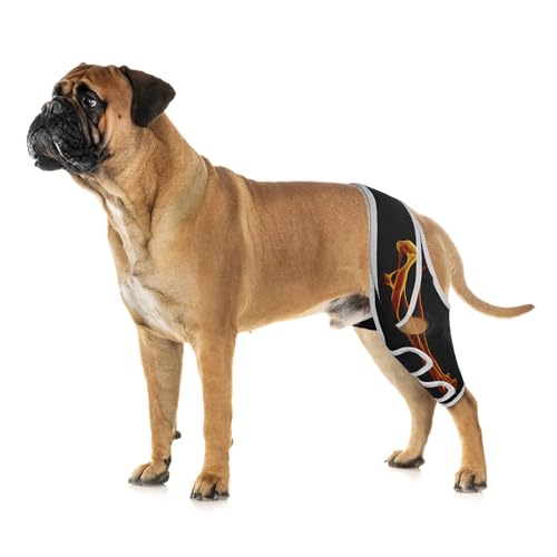 Image of Dog Leg Brace for Back Leg ACL Tear, Dog Knee Brace for All Legs with Reflective Material, Dog Arthritis Brace to Relieve Arthritis Pain, Prevent Further Injury and Promote Postoperative Recovery M