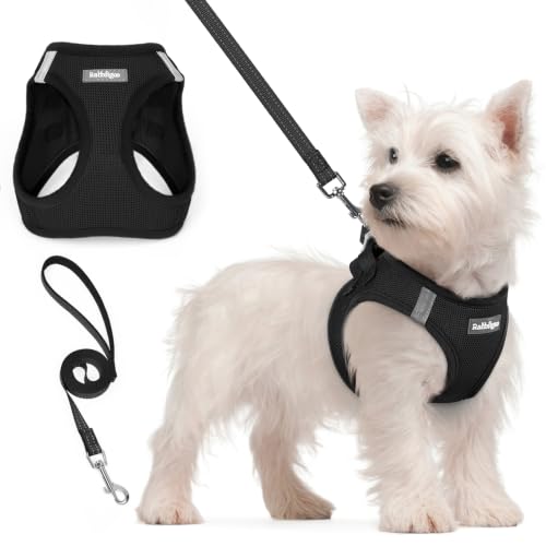 rabbitgoo Small Dog Harness and Lead Set Step-in Soft Mesh Puppy Harness