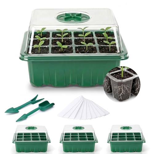 Fox·Bunny Anzuchtkasten, 3 Stück 36 Zellen Zimmergewächshaus Anzuchtkasten, Pflanzen Anzucht Set mit Deckel und Belüftung für Sämling Pflanze