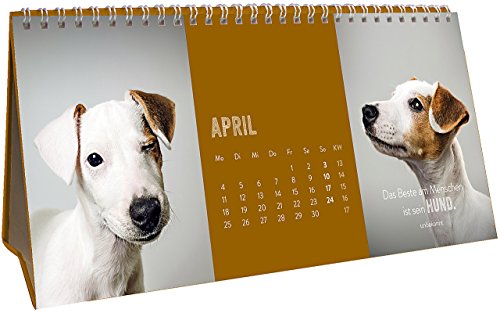 Für Hundefreunde 2016: Tischkalender