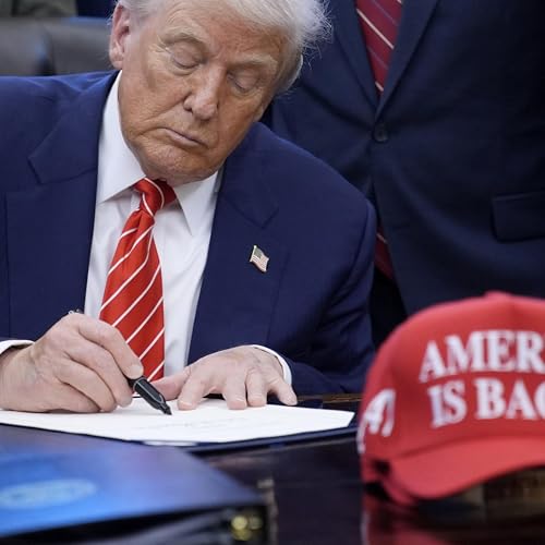 Trump e as suspeitas de fraude eleitoral. Verdade ou del&iacute;rio?