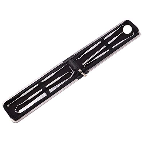 EXCEART Ferramenta Dental Picareta Dental Em AÃ§o InoxidÃ¡vel Fio Dental Conjunto de Ferramentas de