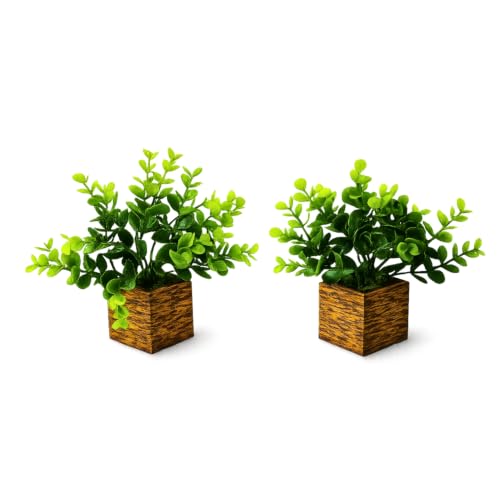Image of DecoreBugs Artificial Eucalyptus Plant with Plastic Pot (Pack of 2) | 12 cm Height | Mini Potted Plants for Shelf Decor, Home, Office, Living Room, Desk & Table Item Decoration