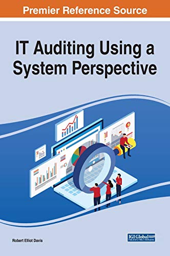 It Auditing Using a System Perspective