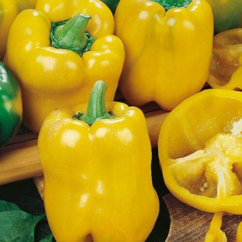 Wafer Pepper Sweet - D'Asti Giallo - 100 Seeds