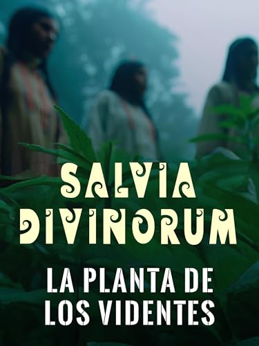 Plantas Sagradas - Salvia Divinorum: La planta sagrada de los videntes, un portal a otras dimensiones