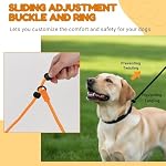 5.5FT Plongez la laisse du chien de plomb – Lourde tenue sans traction en laisse avec poignée rembourrée & Col, laisse à corde pour grands chiens moyens (Orange)