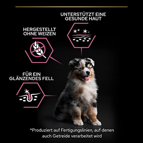 Pro Plan Medium Puppy Sensitive Skin, Welpenfutter trocken, reich an Lachs, 1er Pack (1 x 12 kg)