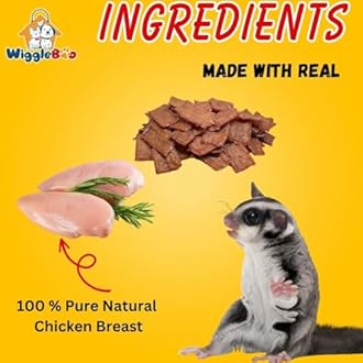 WiggleBoo Gourmet Chicken Treat for Sugar Glider | Travel Pack | Protein Rich | for All Sugar Glider Breed | Crunchy Food Snack (30 Grm)