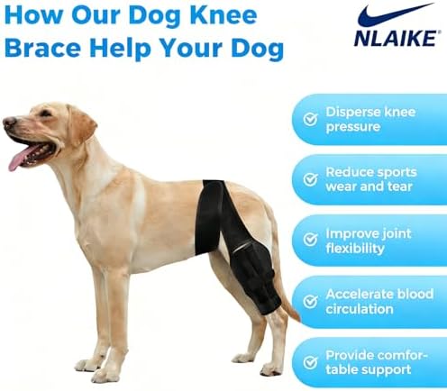 Dog ACL Braces Hind Leg with Side Stabilizers,Dog Knee Brace for Torn ACL - 3