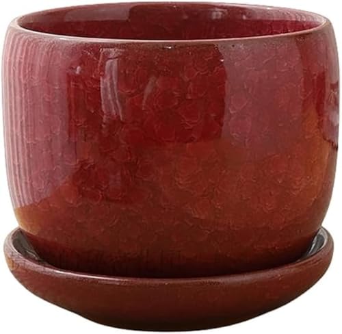 SLLS Aؔ ~`v^[ rt + 󂯎M An[uT{ep ^CeA 㕗fUC (Large,bh)