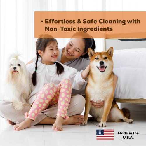 Obsess Grout & Tile Cleaner: Grout Cleaner For Tile Floors | Bathroom Tile Cleaner | Non-Toxic Professional Strength Brightener | Ceramic Tile And Grout Cleaner, Also For Marble, Granite #TOP5