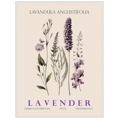 Amanti Art Framed Canvas Wall Art Lavender No. 2