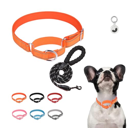 Martingale Dog Collar and Leash Set, Reflective No Pull Training Quick Release Buckle Escape-Proof Puppy Pet Collars Adjustable for Small Medium Large Breed Girl Boys, Orange L