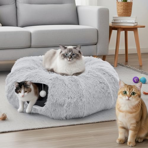 Smug Cat Donut Tunnel Peekaboo Cave