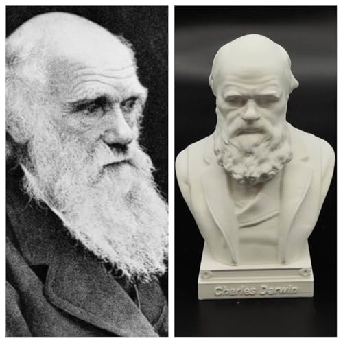Busto Charles Darwin Estatua Decorativa 6 x 4 x 3 in miniatura 6