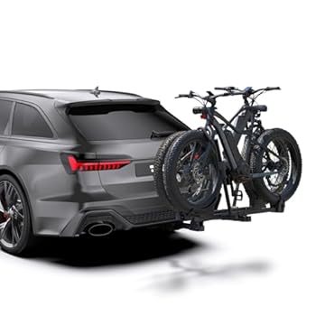 best fat tire ebike rack