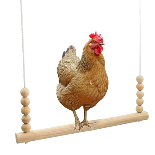 Balançoire De Poule pour Poules | Jouets De Poulailler pour Volailles | Perche Stable Sécurisée pour Basse-Cour Volaille Escalade Repos Grattage Naturel
