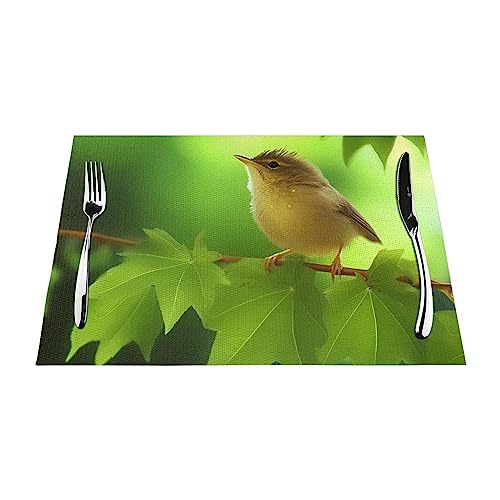 Sets de table en PVC pour salle à manger et terrasse extérieure d'été