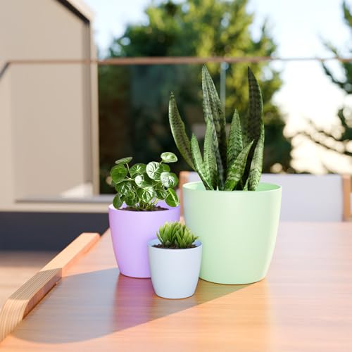 Image of YUCCABE ITALIA SHERA Stella 5 Inch Plastic Plant Pot for Home Decor Indoor Plant Pots for Living Room Plastic Flower Pot for Garden (Seagreen, 5 INCH - 6 Pcs)