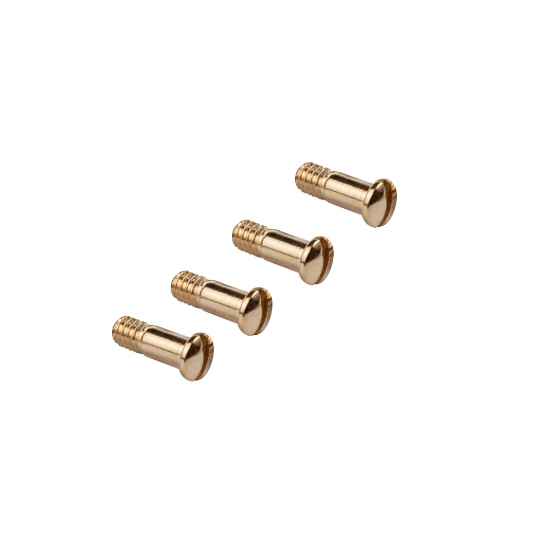 HiCycle2 Sunglasses Screws Replacement for RAY BAN RB2132 RB4165 RB4371 Sunglasses Repair Kit (Set of 4),Screwdriver(gold) - Image 2