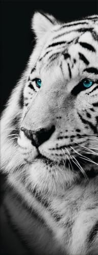 artissimo, Glasbild, 30x80cm, AG4101A, Tiger, Bild aus Glas hochkant,...