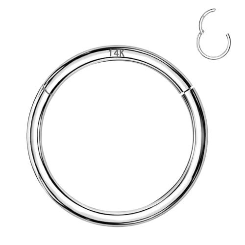ALACLO 14k White Gold Septum Rings Hoop for Women Men, 20G Segment Gold Nose Rings, 8mm Gold Cartilage Hoop for Helix, Rook, Daith, Tragus, Body Piercing Jewelry by ALACLO - Used condition - US$62.12