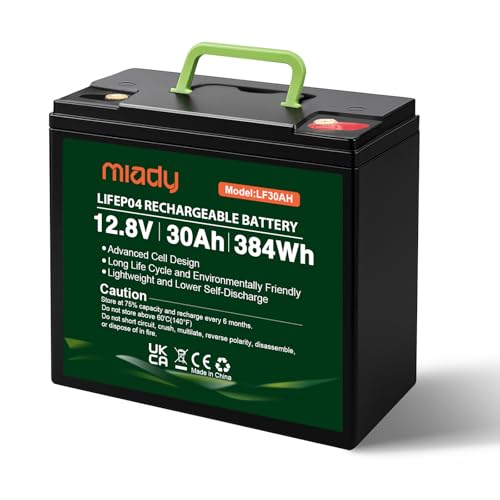 Miady 12V 30Ah Lithium LiFePO4 Battery 3000+ Deep Cycle Rechargeable Battery For Small UPS Fish Finder Power Wheels Scooters Solar Power Built-in 30A BMS