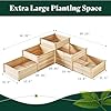 AMERLIFE 3-Tier Raised Garden Bed for Outdoor Gardening, Fir Wood Planter Box with Dividers, Tool-Free Assembly, Garden Box Perfect for Vegetables, Herbs, and Flowers #5