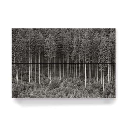 artboxONE Holzbild 30x20 cm Natur Bäume in einem Wald von Künstler Tom Uhlenberg