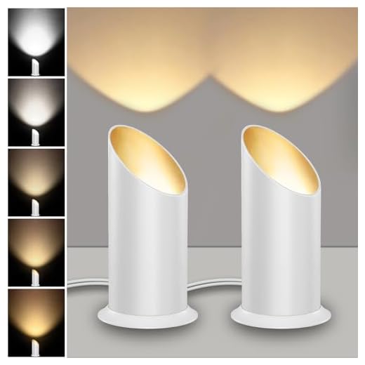 TuyuBEE 5-Color Uplighting Indoor with Auto ON/Off Switch, Dimmable Floor Can Light, LED Spotlight Indoor Up Lights for Plant Picture Home, Spot Accent Lighting, 5.9 FT Plug Cord, 10W White 2 Pack