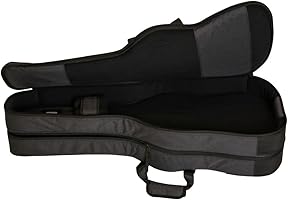 Amazon.co.jp: RITTER RGB4‑DE ANT BERN Double Electric Guitar