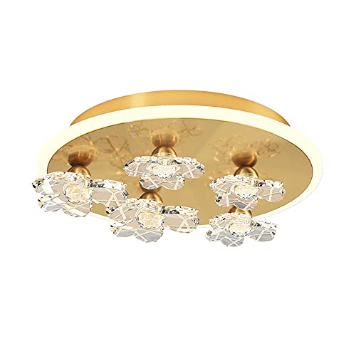 Plafonnier LED Allée couloir fleur acrylique pour chambre et foyer