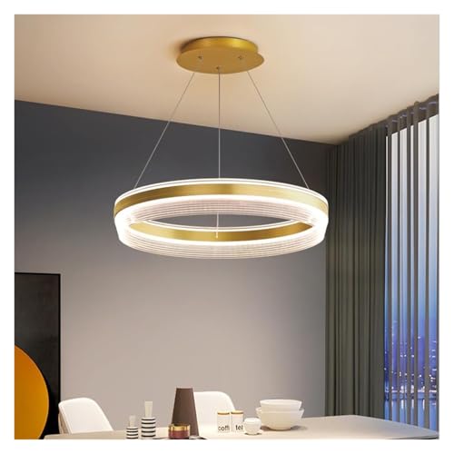 Lumière suspendue à hauteur réglable LED avec diffuseur acrylique bague dorée