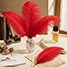 VoilaLove 10pcs Natural Ostrich Feather Craft 14-16inch(35-40cm) Plume for Wedding Centerpieces Home Decoration DIY（Red, 10Pcs 14-16inch